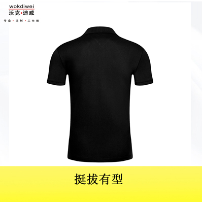 翻領(lǐng)T恤衫定制批發(fā)生產(chǎn)廠家6301款